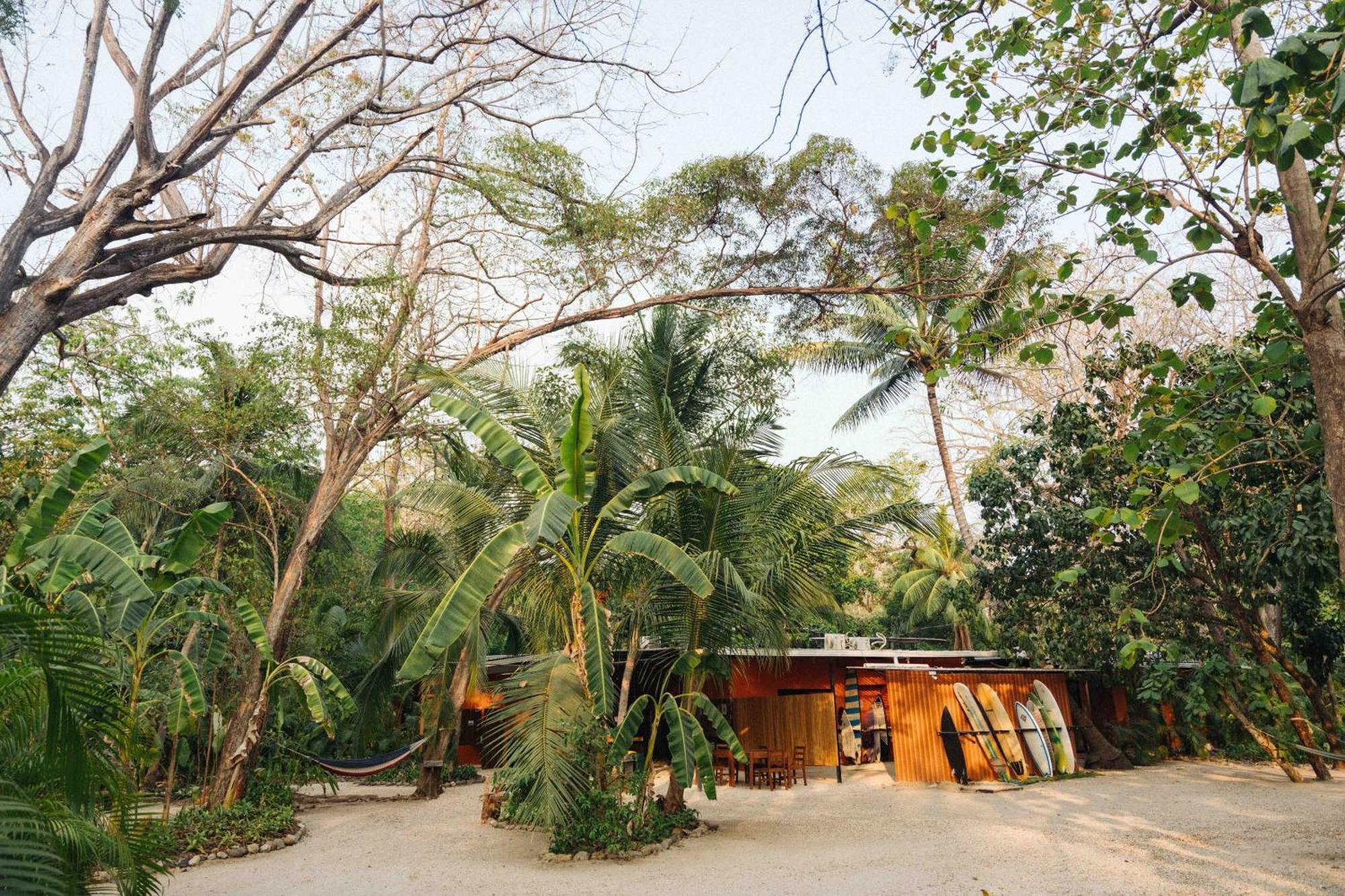 Zeneidas Surf Garden Playa Santa Teresa  Kültér fotó